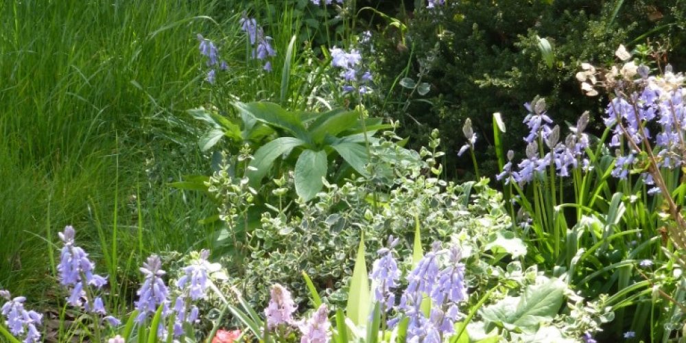 freistehendes Einfamilien-Fertighaus mit Ausbau-/ Neubaupotential auf ruhig gelegenen Südgrundstück