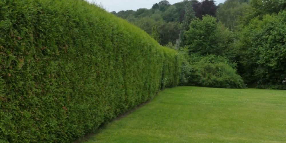  Rarität: Baugrundstück in absolut ruhiger Lage