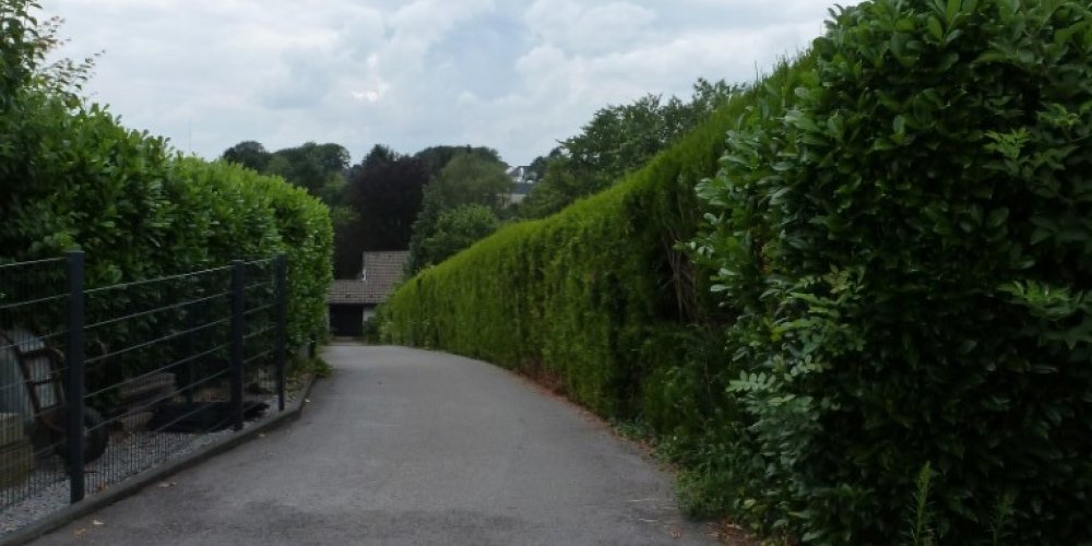  Rarität: Baugrundstück in absolut ruhiger Lage